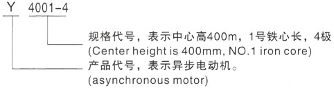 西安泰富西玛Y系列(H355-1000)高压YJTFKK4502-2三相异步电机型号说明